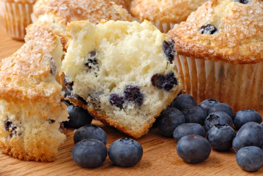 blueberry muffins dimeo farms