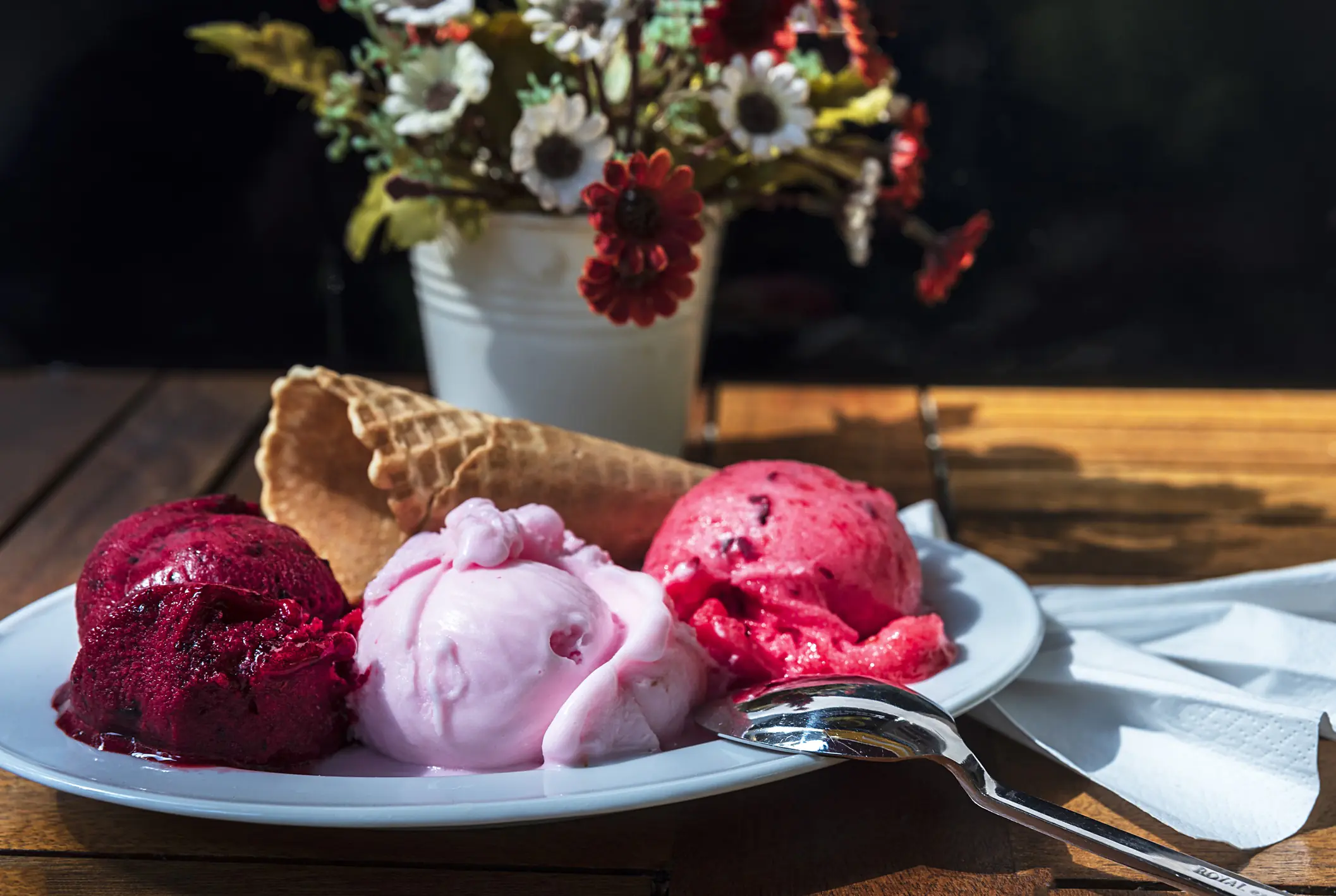Plum Sorbet