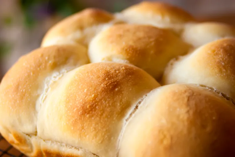 Homemade Dinner Rolls