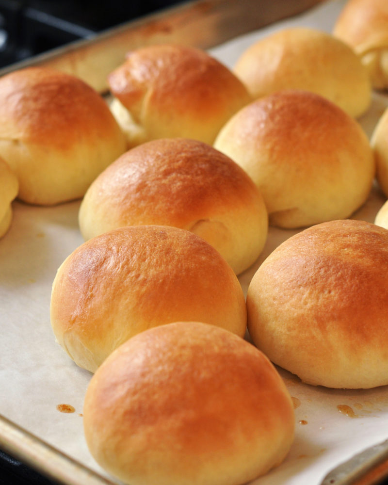 Homemade Dinner Rolls - Going My Wayz