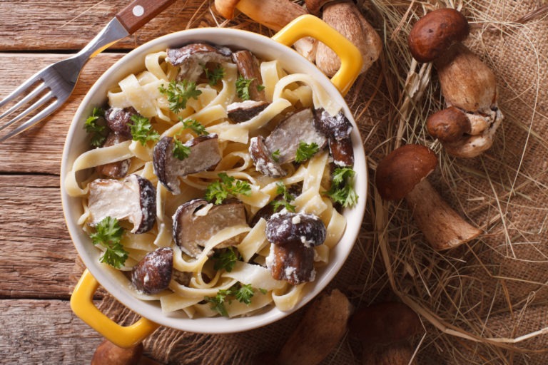 Porcini Mushroom Sauce