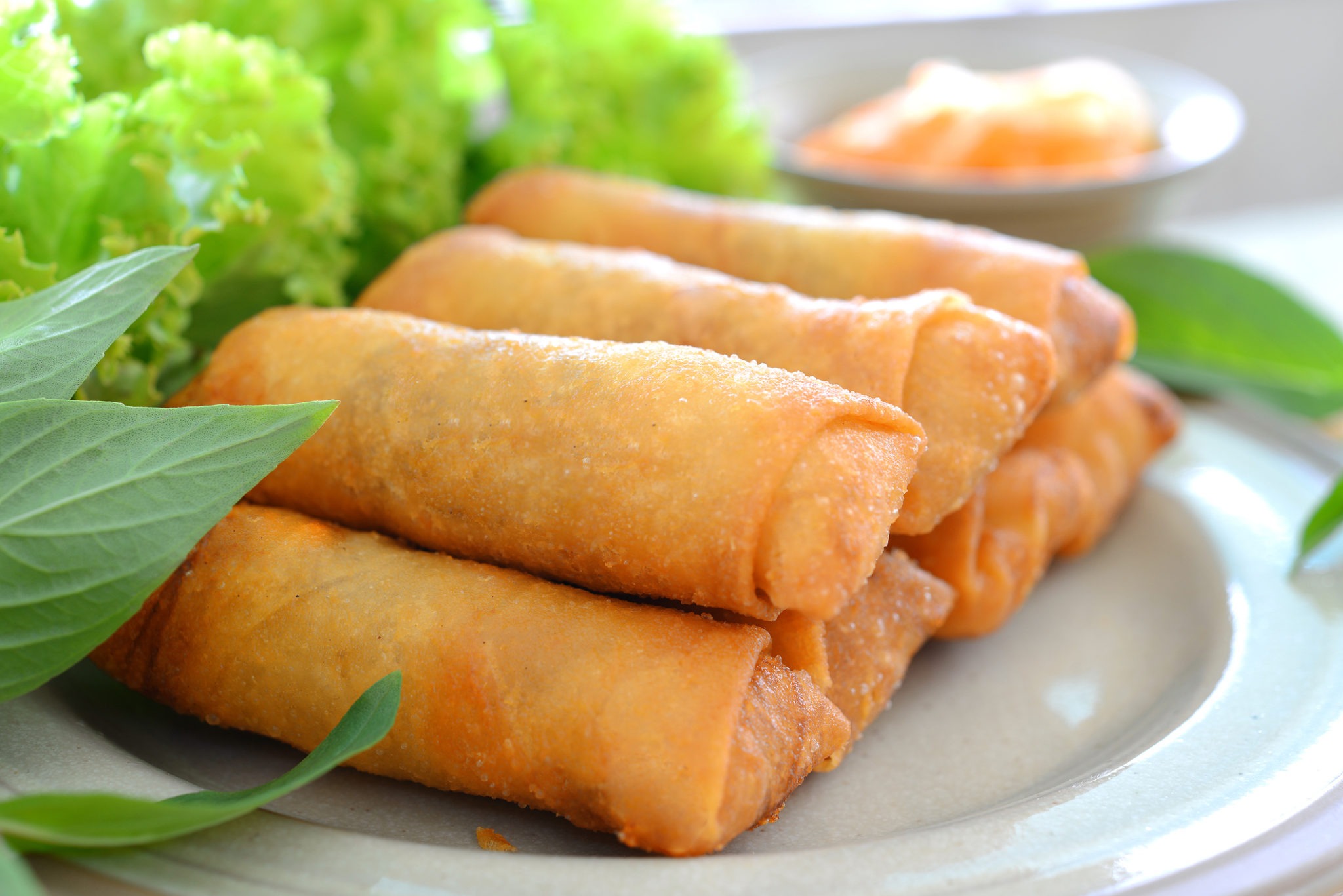 Mushroom Spring Rolls