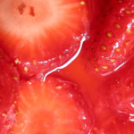 macerated strawberries 1024x512 1