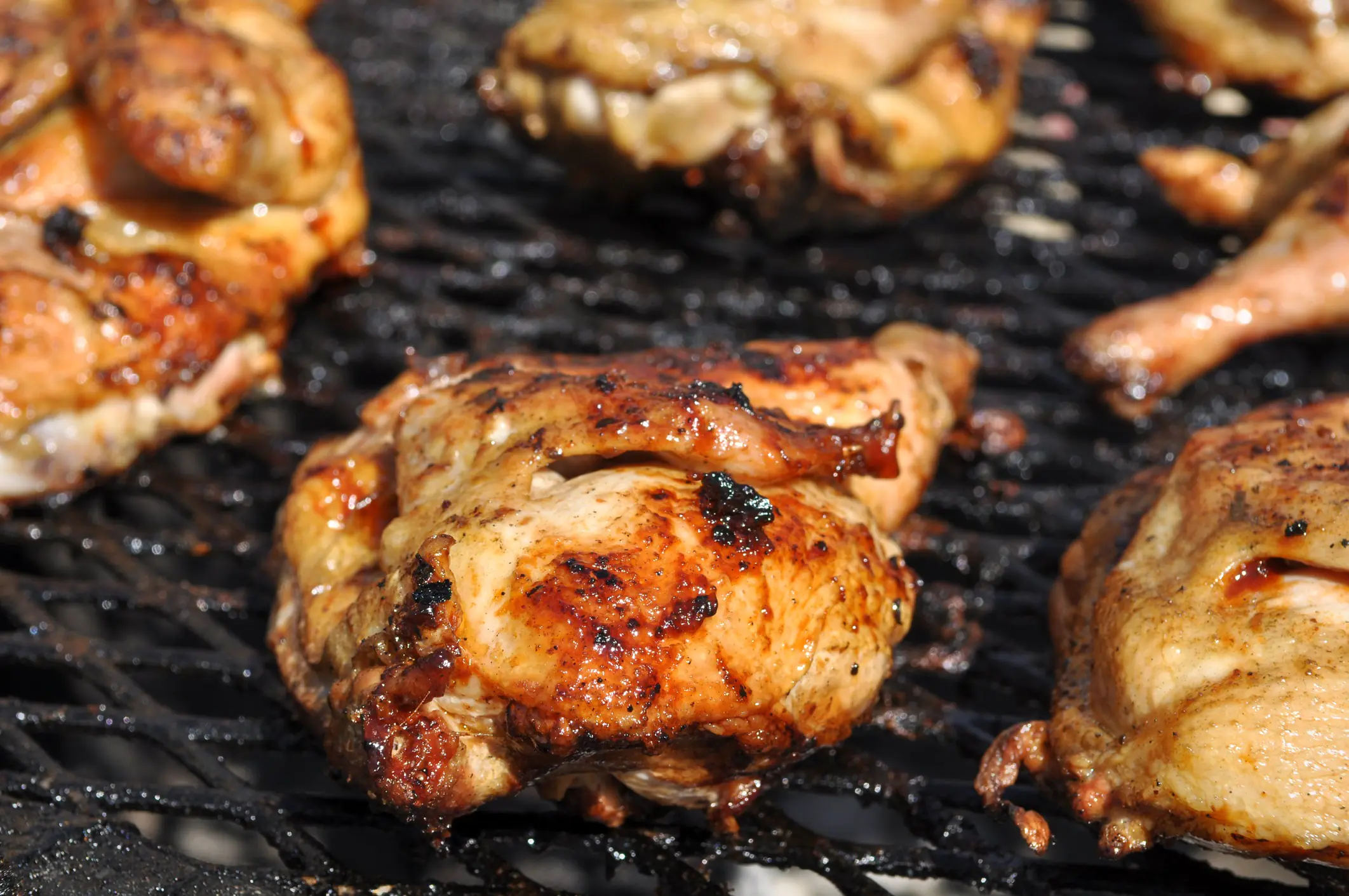 Pollo Asado Chipotle
